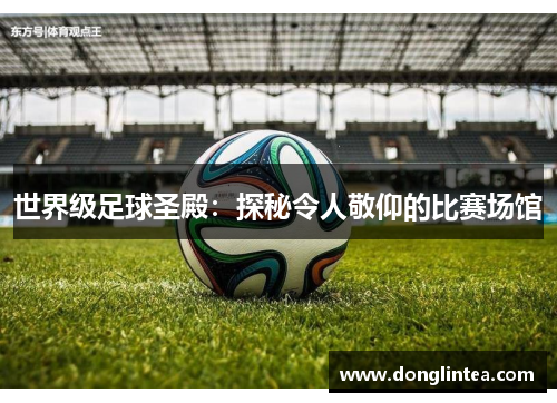 世界级足球圣殿：探秘令人敬仰的比赛场馆